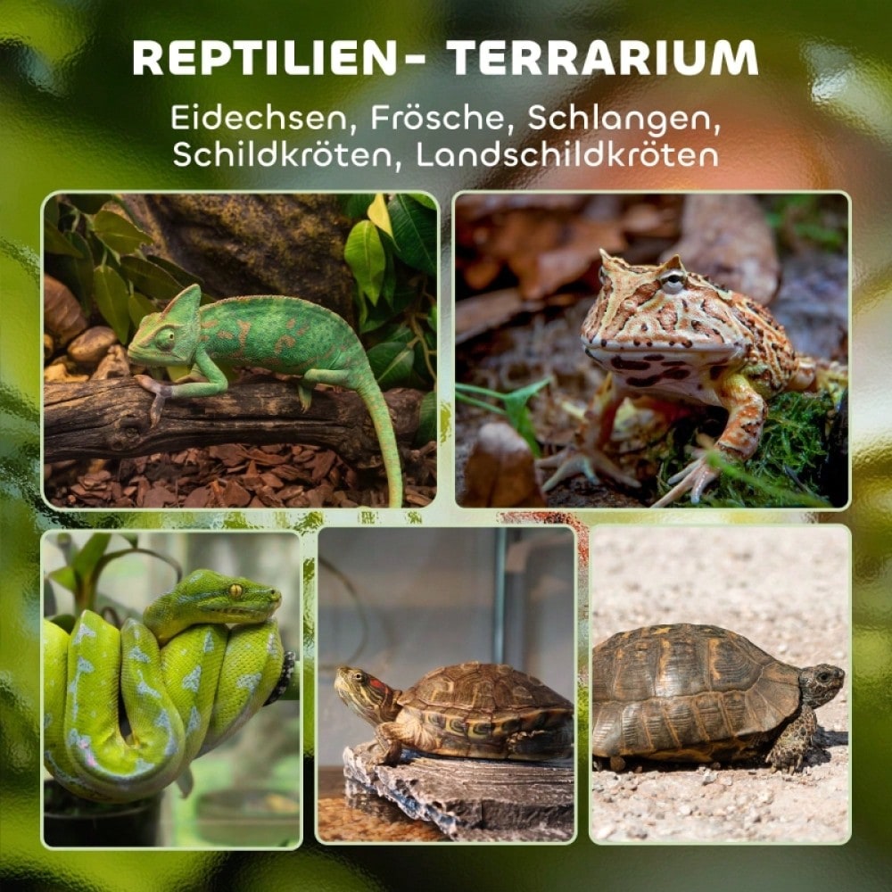 PawHut Glas-Terrarium für Reptilien mit erhöhtem Boden, wasserdicht, inklusive Sicherheitsschloss
