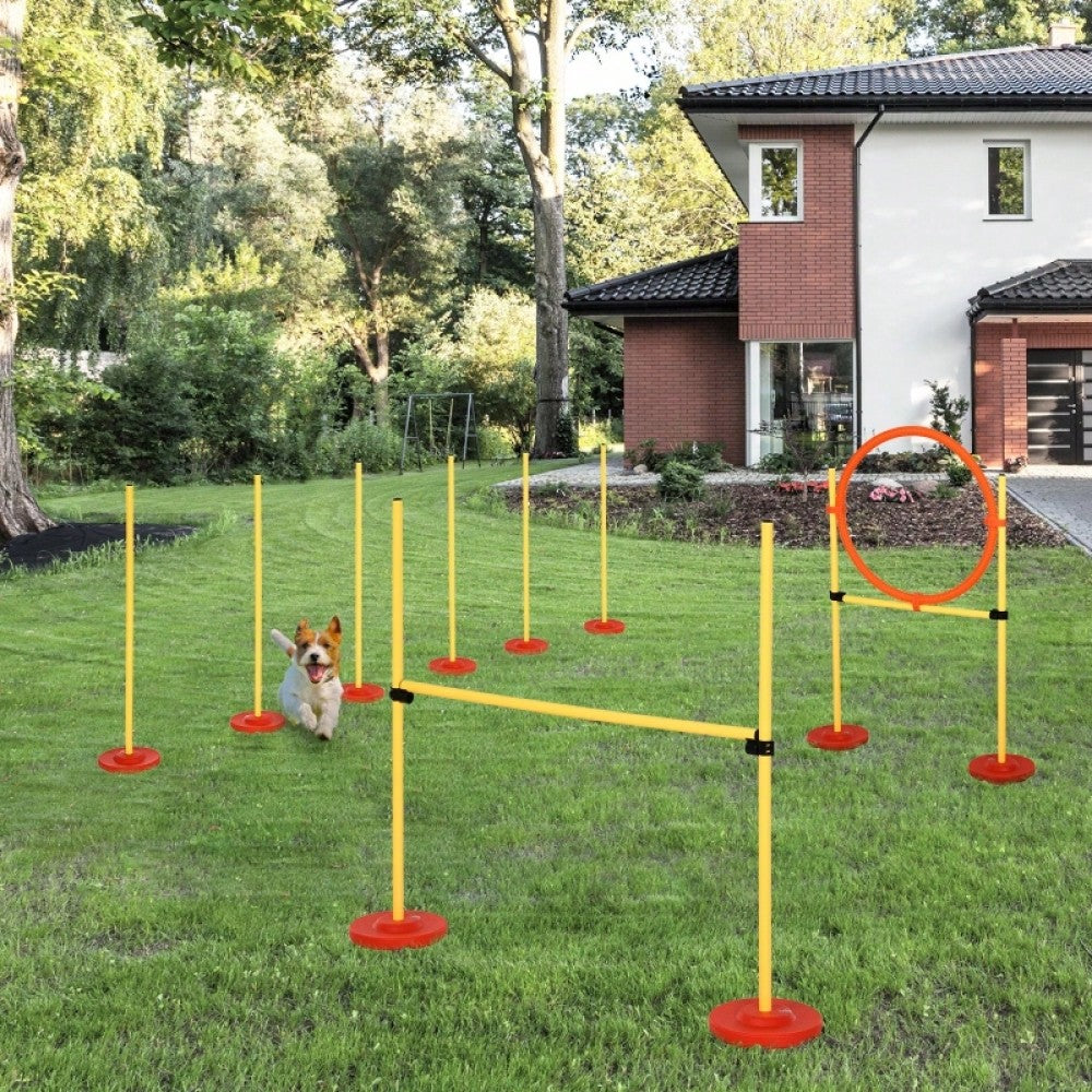 PawHut 3-in-1 Agility Set für Hunde mit Hürden, inkl. Tragetasche - Leicht & transportierbar, Gelb - Für Training und Spaß im Freien