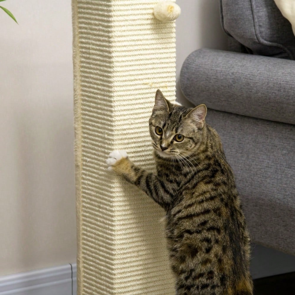 PawHut Hoher Kratzbaum für Katzen mit Spielzeug, Kratztonne, Kletterbaum mit Sisalstämmen und Liegefläche, Katzenmöbel für Wohnung, 80 cm Höhe, Beige + Natur
