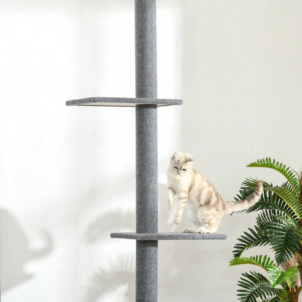PawHut Deckenhoch Kratzbaum für Katzen, höhenverstellbar (228-260 cm), Kletterbaum aus Sisal, grau, für Spiel und Entspannung