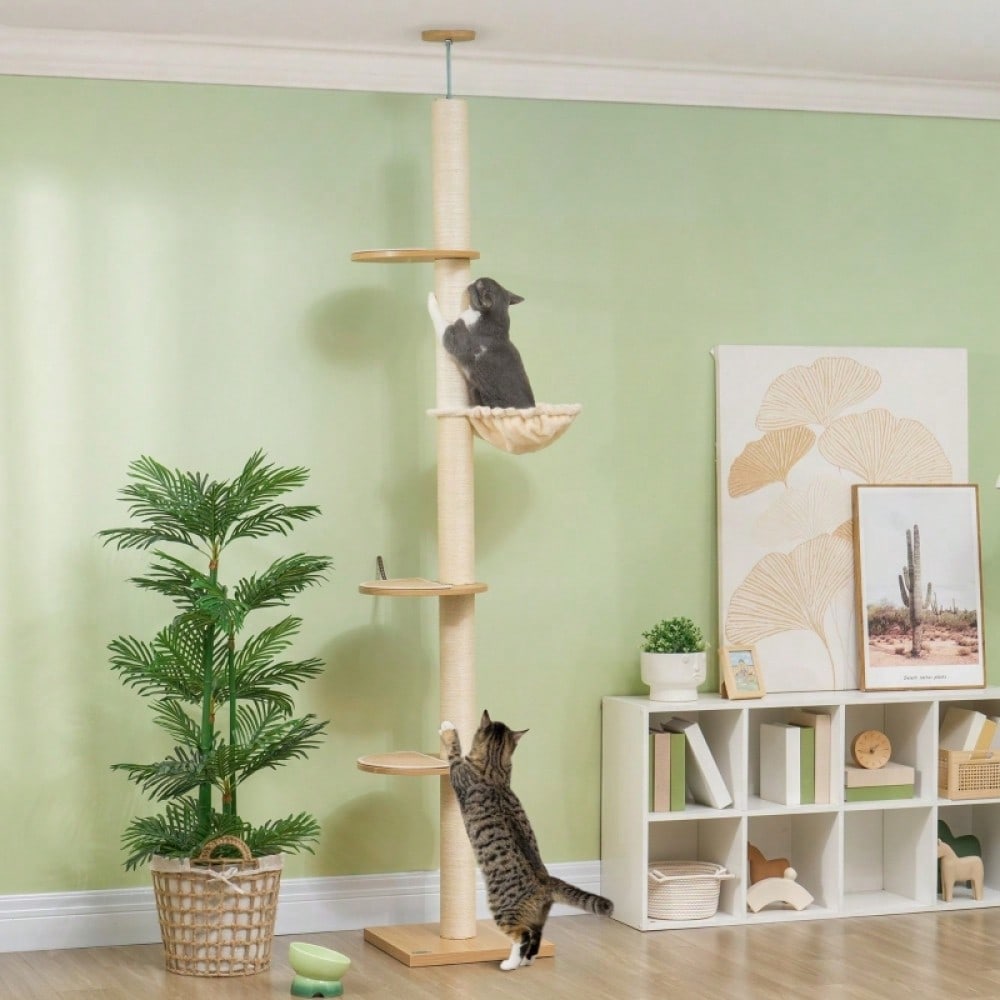 PawHut Deckenhoher Kratzbaum mit Anti-Kipp-Sicherung | Kratzbaum bis zur Decke mit Sisal-Pfosten | Aus Holzwerkstoff in Eiche & Cremeweiß, stabil und platzsparend