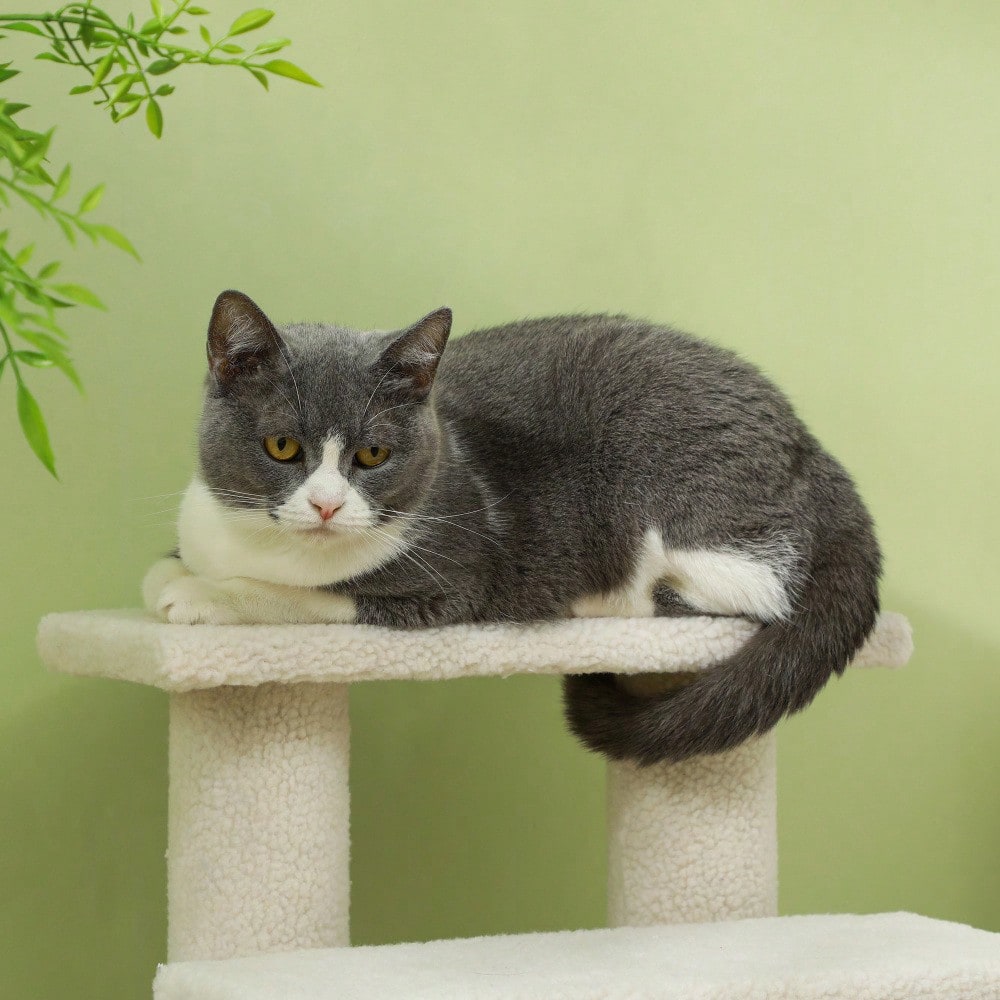PawHut 4-stufige Tiertreppe mit Plüschbezug für Hunde & Katzen, weiche Treppe für ältere Tiere, 63,5x43x60 cm, beige