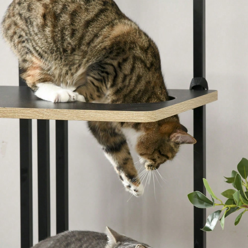 Kratzbaum für Katzen 170 cm hoch, mit Kissen, Kratzbrett & 3 Plattformen, stabiler Katzenbaum aus Stahl, schwarz - von PawHut
