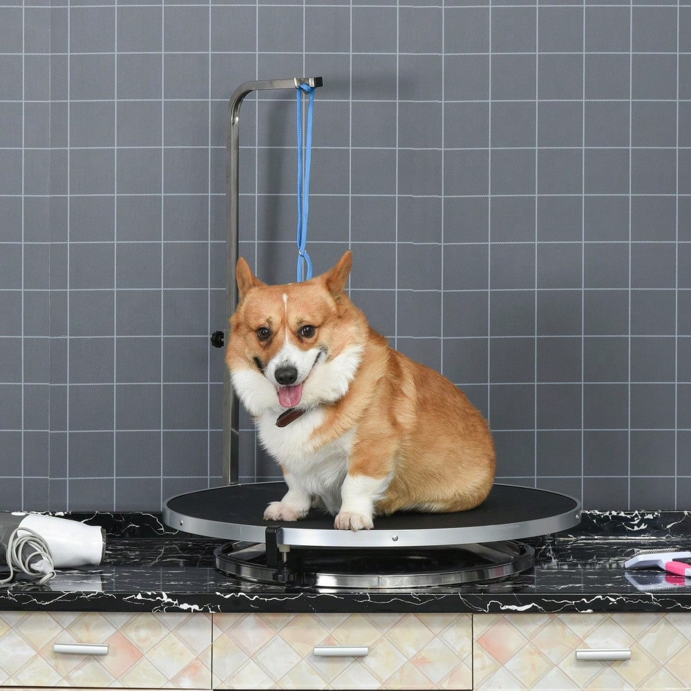 Professioneller Trimmtisch für Hunde & Katzen, drehbar mit verstellbarem Arm, rutschfeste Platte & Verriegelungssystem, Alu-Legierung - von PawHut