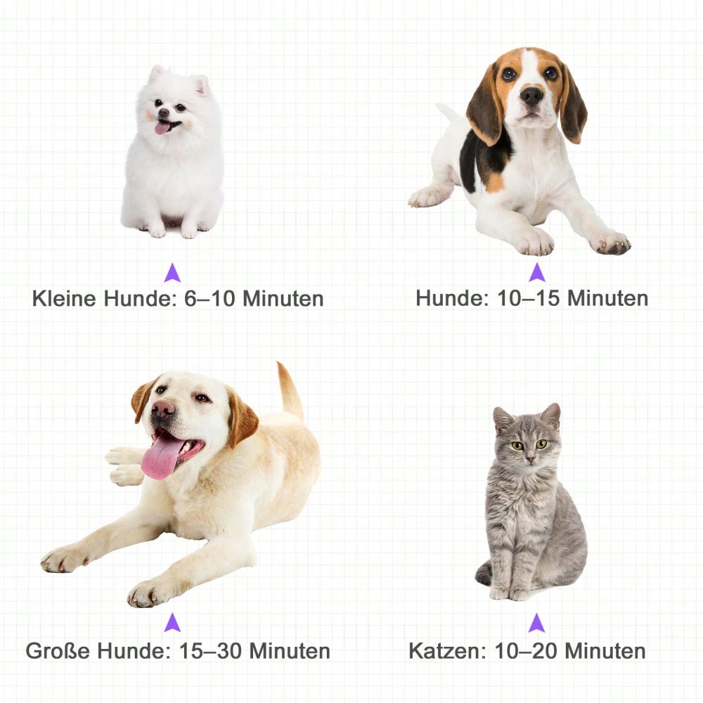 PawHut Profi Hundefön 2800W - Leiser Tierfön mit Metallgehäuse (40x16x20 cm) zum schnellen & schonenden Trocknen von Hunden, Katzen und Tieren