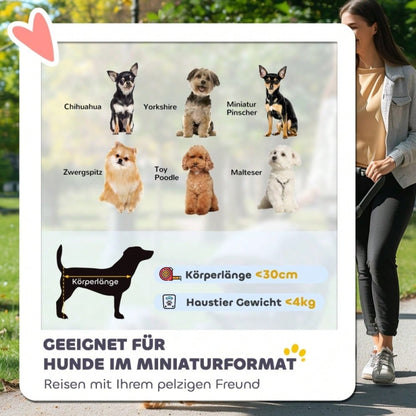 PawHut Haustierwagen mit Sicherheitsleinen & Netzfenstern, Transportwagen für Hunde und Katzen, Großzügiger Stauraum 76x44x103 cm (Hellgrau)