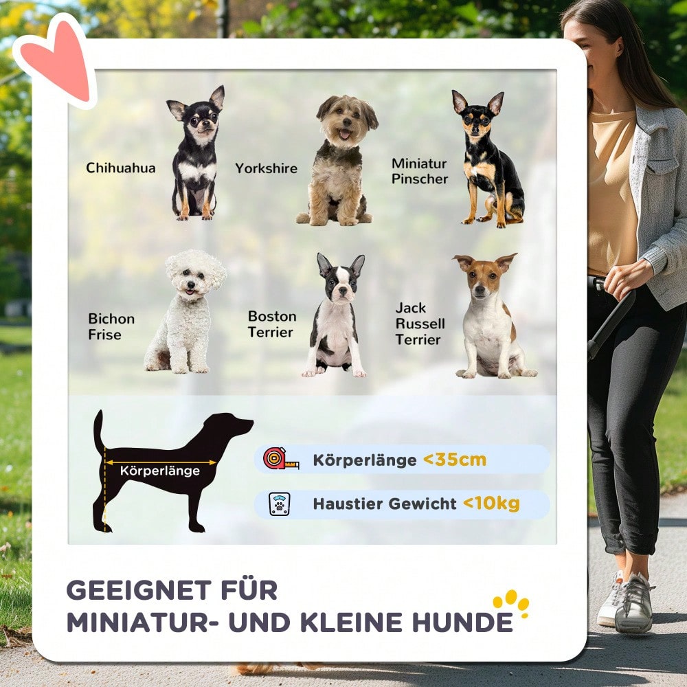 PawHut Hundewagen Transportwagen für Hunde und Katzen, Klappbarer Buggy mit Sicherheitsgurt, Grau
