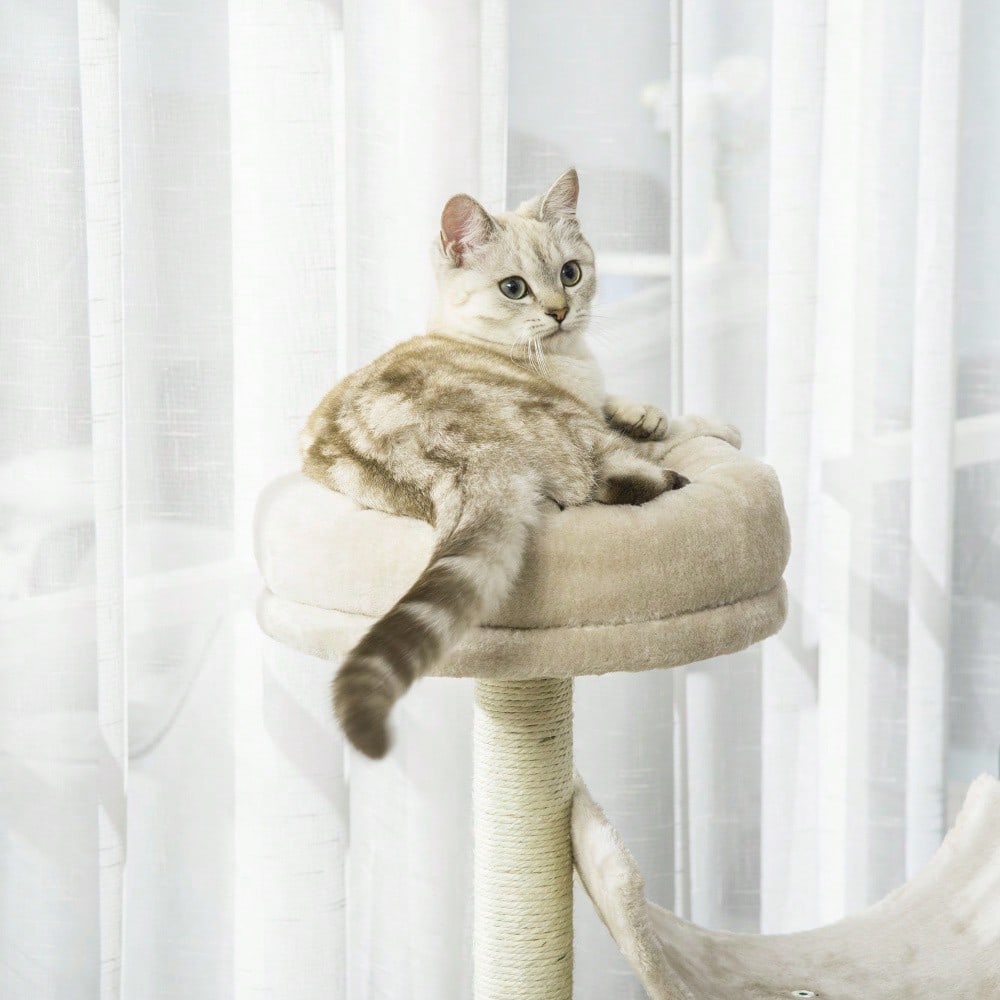 PawHut Kratzbaum Kletterbaum für Katzen mit Spielzeug und Tunnel, 105 cm hoch, beige, 50x40x105 cm