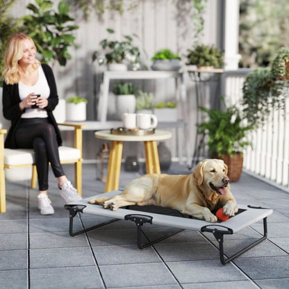 PawHut Erhöhtes Hundebett für große Hunde, Tragbares Hundebett mit atmungsaktivem Mesh-Netz, Belüftetes Liegefläche, Für Innen & Außen, 90x60x25 cm, Hellgrau