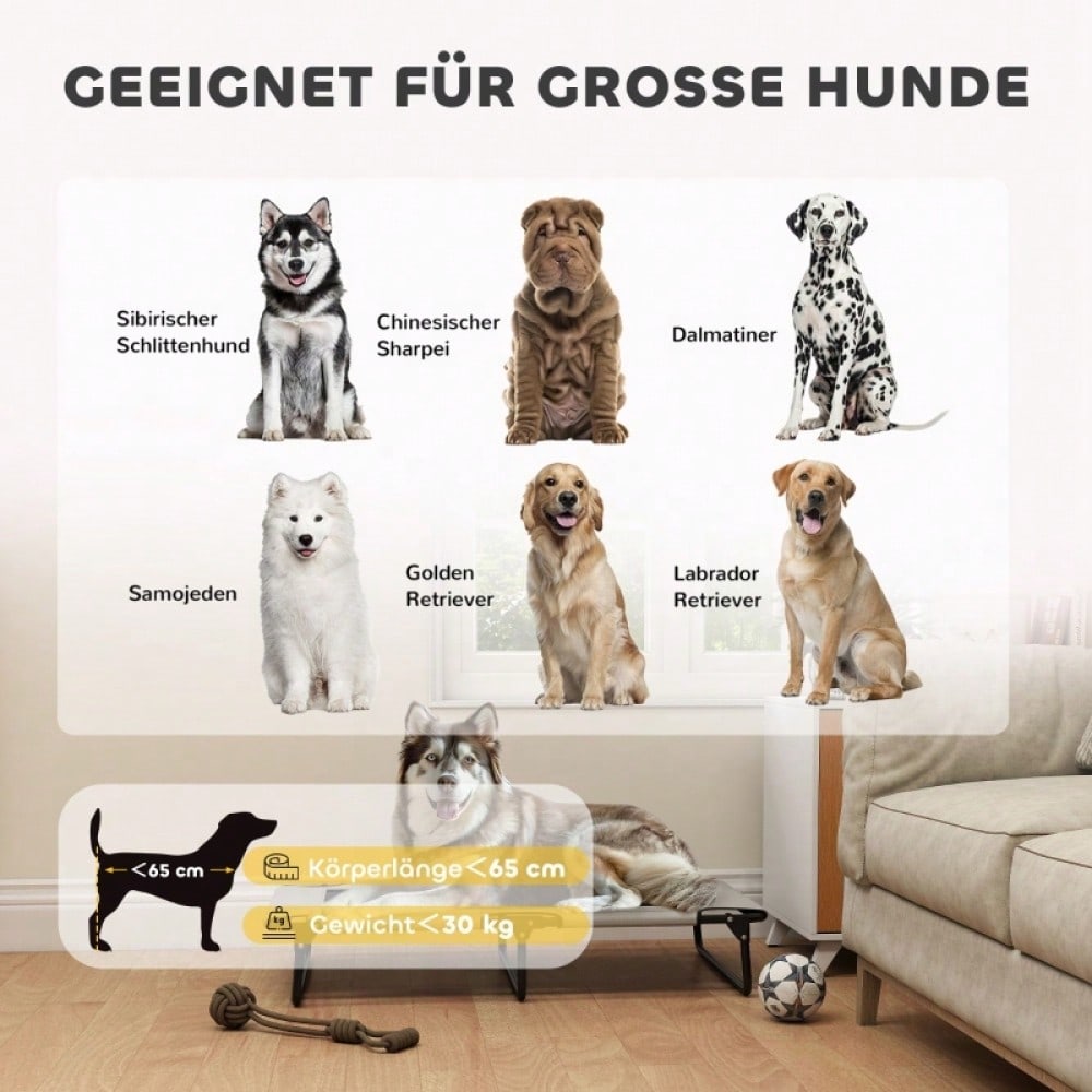 PawHut Erhöhtes Hundebett für große Hunde, Tragbares Hundebett mit atmungsaktivem Mesh-Netz, Belüftetes Liegefläche, Für Innen & Außen, 90x60x25 cm, Hellgrau