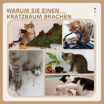 PawHut Kratzbaum für Katzen, mehrstöckiger Katzenturm 72 cm mit Sisalstämmen, Plattform, Kratzbrett & Plüschball, für mittelgroße Katzen, cremeweiß
