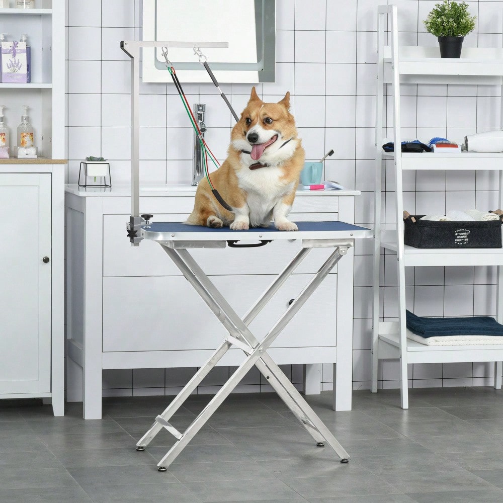PawHut Pflegearm für Hunde klappbar & höhenverstellbar, mit Klemme & Haunch-Halter, für mittelgroße Hunde, schwarz