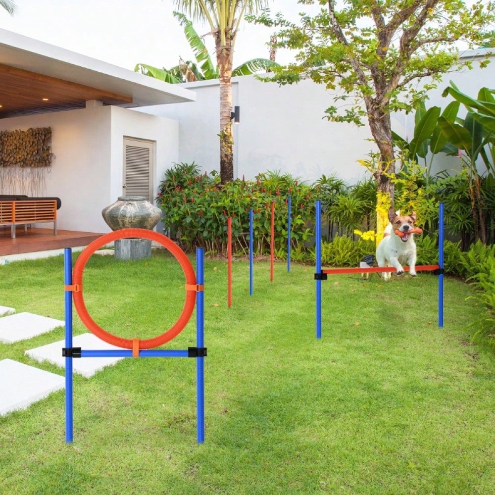 PawHut 3-in-1 Agility Set für Hunde - Trainingsgeräte mit Slalomstangen, Hürde & Sprungring - Komplettset für Hundesport & Agility-Training, Farbe: Blau/Rot