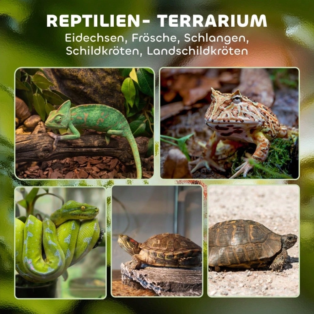 PawHut Wasserdichtes Reptilien-Terrarium - Erhöhter Boden & Sicherheits-Knopfschloss, Vollglas-Aquaterrarium - Ideal für wechselfeuchte Haltung