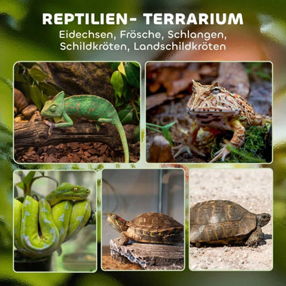 PawHut Wasserdichtes Reptilien-Terrarium - Erhöhter Boden & Sicherheits-Knopfschloss, Vollglas-Aquaterrarium - Ideal für wechselfeuchte Haltung