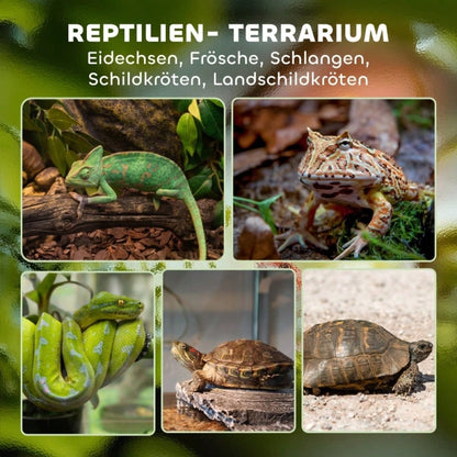 PawHut Glas-Terrarium für Reptilien mit erhöhtem & wasserdichtem Boden | Terrarium mit Sicherheits-Knopfschloss für Echsen & Schlangen | Wüstenterrarium mit belüftetem Design