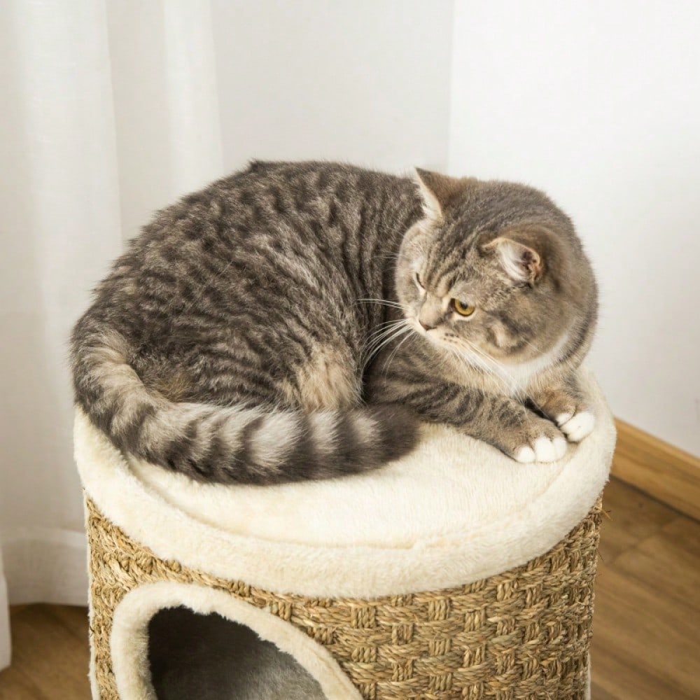 Kratztonne für Katzen mit 3 Ebenen – Kratzbaum mit Sisal-Strick und weicher Plüsch-Liegefläche, 70 x 37,5 x 37,5 cm (HxBxT), für Katzenliebhaber – von PawHut