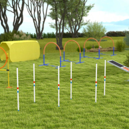 Agility Training Set mit Slalomstangen für Hunde | Komplett-Set inkl. Tragetasche aus 600D Polyester | Für Hundesport & Obedience | Weiß/Blau | 305x60x94 cm | von PawHut