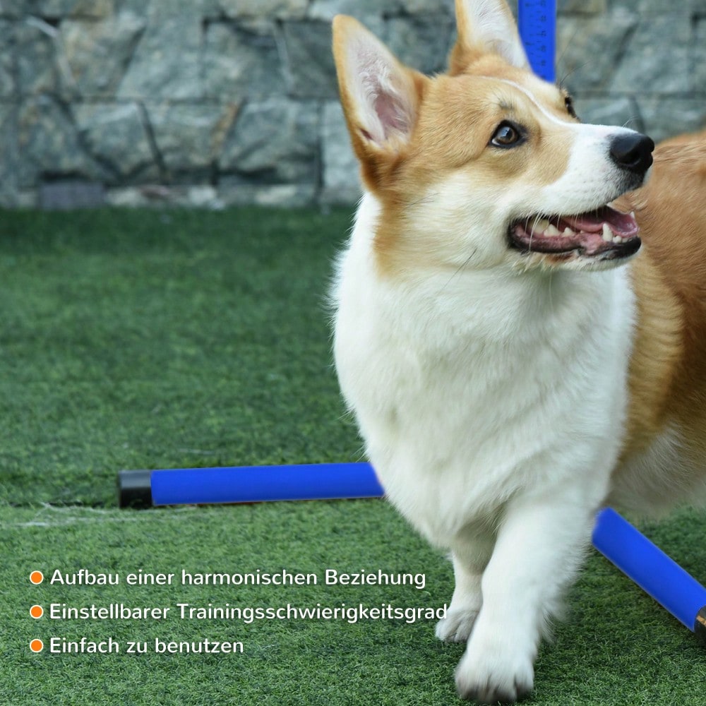 4-teiliges Agility-Set für Hunde | Höhenverstellbar mit 2 Hürden & 2 Slalomstangen | Inkl. 4 Bodenstangen aus Kunststoff | Für Indoor/Outdoor | Blau | 99x65x94 cm | von PawHut