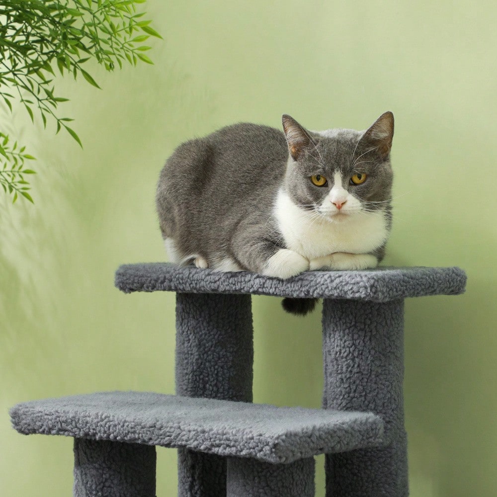PawHut 4-stufige Tiertreppe für Katzen und Hunde, Treppe für ältere und kleine Tiere, 63,5x43x60 cm, grau