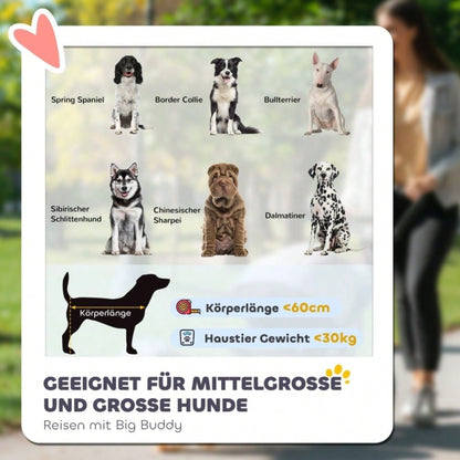 PawHut Hundebuggy faltbar & aufklappbar mit Liegekissen, robuster Stahlrahmen, für Hunde & Katzen, rot/schwarz