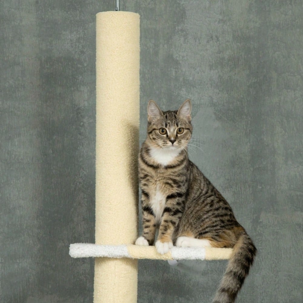 PawHut Höhenverstellbarer Kratzbaum mit Sisalseil-Pfosten & Anti-Rutsch, 220-260x47x34 cm, gelb/weiß/blau
