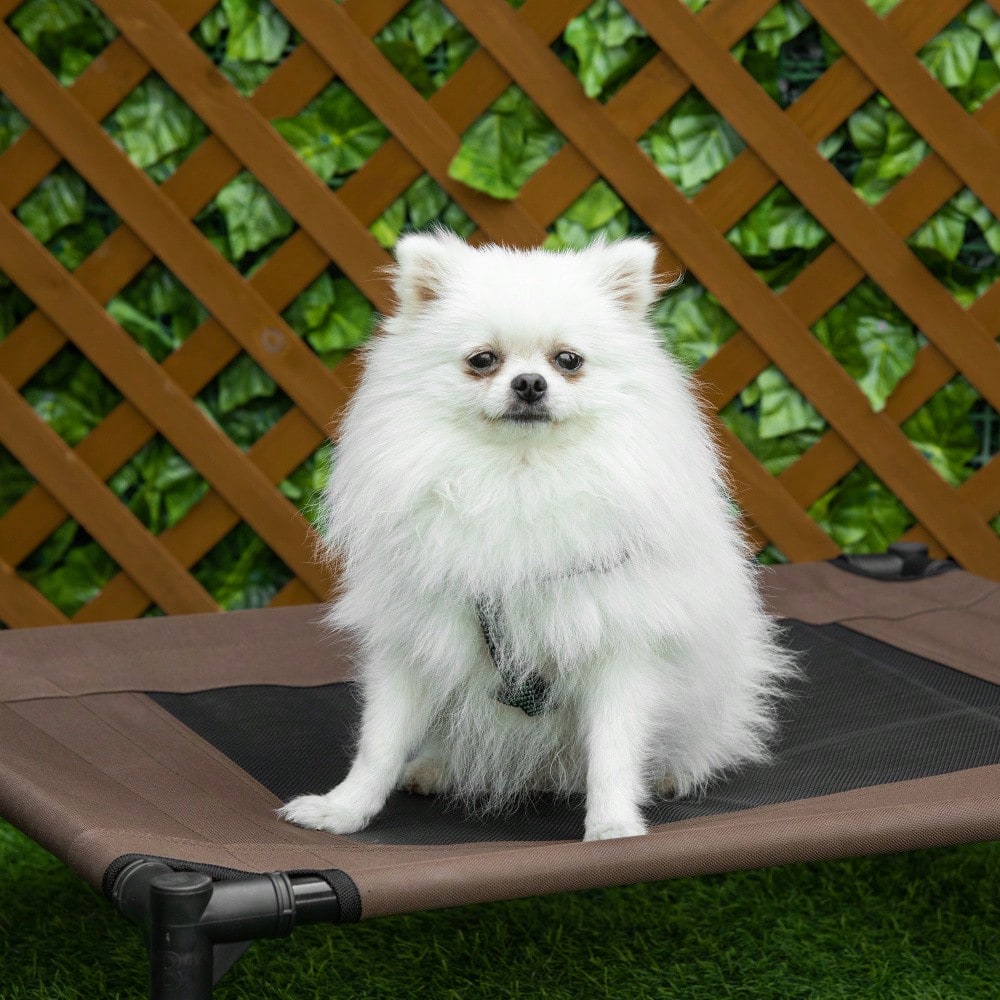Erhöhtes Hundebett Outdoor für große Hunde, waschbares Mesh-Netz, robuste Hundeliege für Camping & Garten, 76x61x18 cm, braun - von PawHut