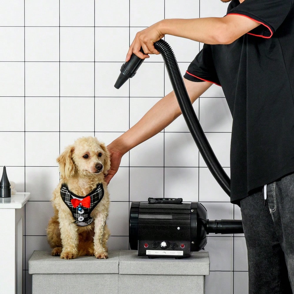 PawHut Profi Hundefön 2800W - Leiser Tierfön mit Metallgehäuse (40x16x20 cm) zum schnellen & schonenden Trocknen von Hunden, Katzen und Tieren