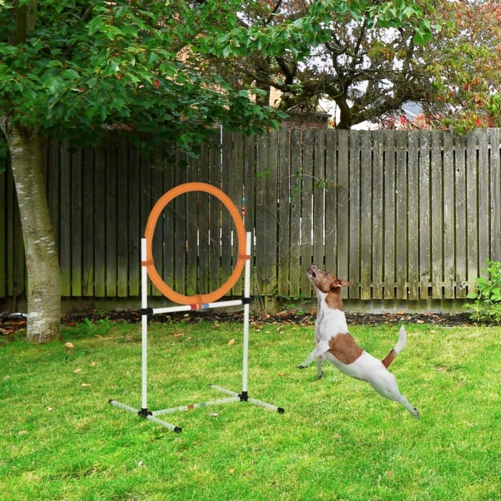 PawHut Agility Springring für Hunde - Klassischer Springreifen für Agility Training, tragbar & leicht aus PE-Kunststoff (Weiß-Orange, 74,5x66x91 cm)